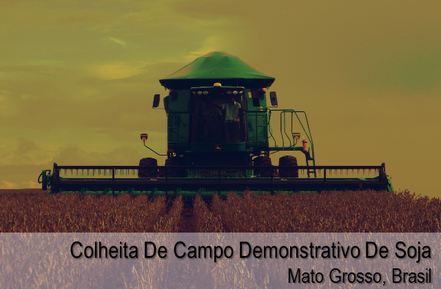 Colheita de campo demonstrativo de soja - Mato Grosso, Brasil
