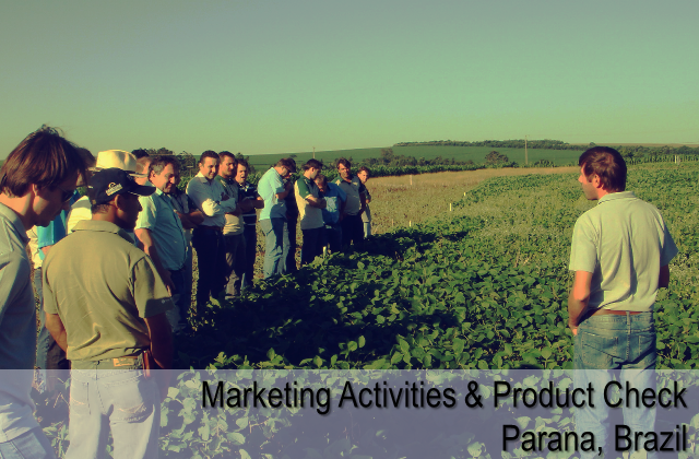 Marketing activities and product check - Parana, Brazil